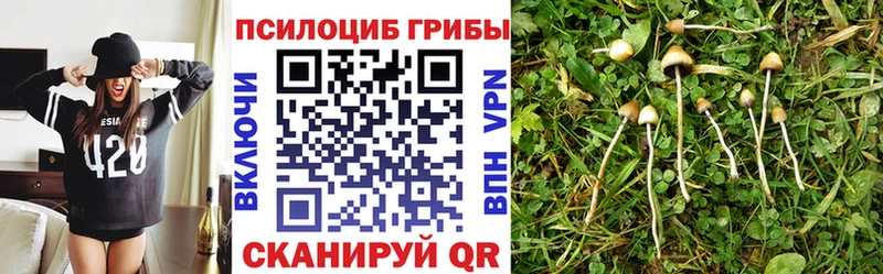 Галлюциногенные грибы ЛСД  Купить  Пласт 